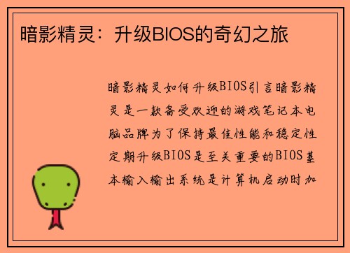 暗影精灵：升级BIOS的奇幻之旅